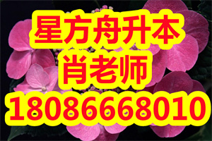 湖北2021年自考《世界政治经济与国际关系》试卷结构是怎样的？