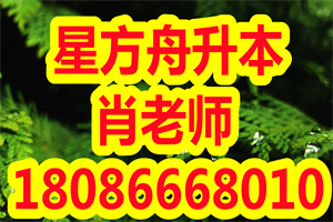 2019年武汉晴川学院专升本录取分数线