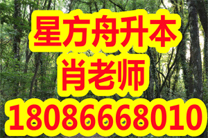 四川省自考课程免试原则是什么？免试条件有哪些？