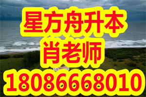 2020年武汉晴川学院专升本专业招生计划调整