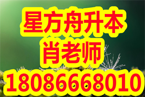 北京语言大学网络远程教育招收什么层次的学生？