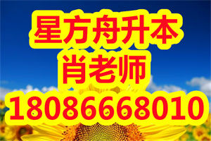 在普通专升本备考复习期间，怎么去检测自己有没有掌握知识？