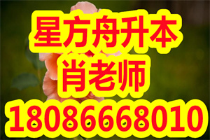 2020年武汉轻工大学专升本考试科目及参考教材