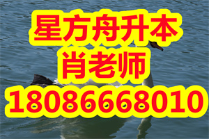 专升本管理学有哪些知识考点？管理学模拟题及答案