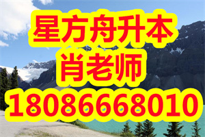 大三专升本和工作实习相遇哪个选择才是最合适？