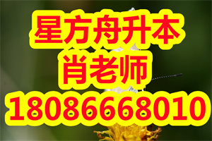 湖北普通专升本高数复习方法分享