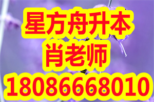 2018-2020年湖北工程学院专升本招生情况解读