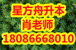 西北工业大学2021年网教春季专科层次专业有几个？