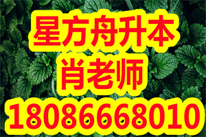 为什么专升本要早做准备？怎么平衡专升本和实习之间的关系？