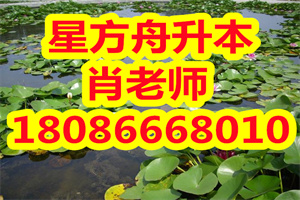 湖北省将启动2020年上半年自考转考工作，考生：什么是转考？