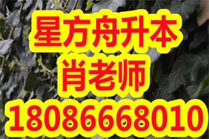 2020年湖北省专升本报考专业对应一览表