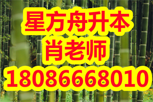 专升本这样复习让你顺利通过考试！不要再说不知道如何学习！