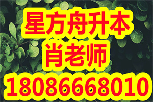 专升本复习效率不高，你的专升本计划制定的合理吗？