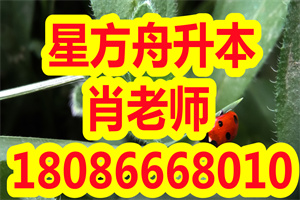 2020年成人高考报名9月1号开始！成考报名时间安排及网上缴费通知！