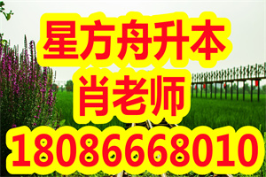 2021年武汉城市学院专升本新生报到时间