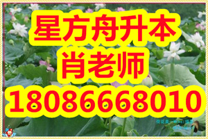 湖北省自学考试《政治经济学》（课程代码：00008）考试大纲