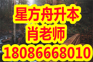 2019年武汉学院专升本录取分数线