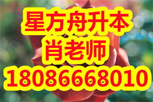 2020年全国高等教育自学考试时间出炉，自考现阶段如何复习？