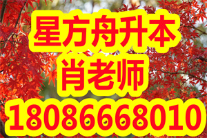 中国石油大学现代远程教育2021年招生简章之报考情况