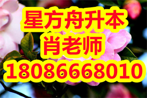 普通专升本复习中，你要改掉这3个“坏习惯”