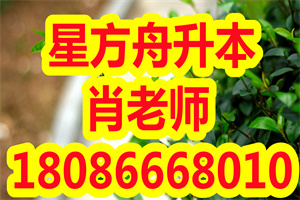 湖南、海南可查成绩！2022年4月自考报名时间表，速看！