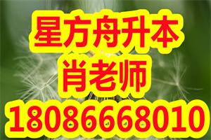 湖北武汉工程科技学院2019年专升本各专业预录取分数线